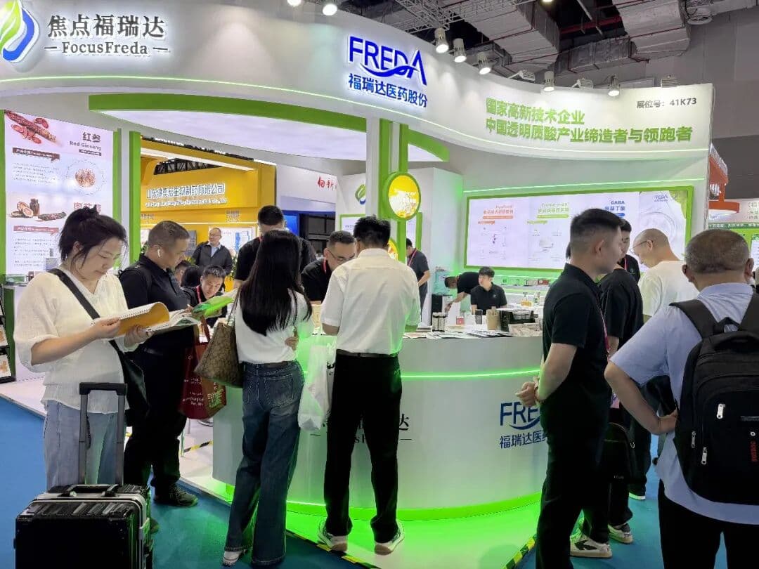 Visitors and business discussions at the Focusfreda booth