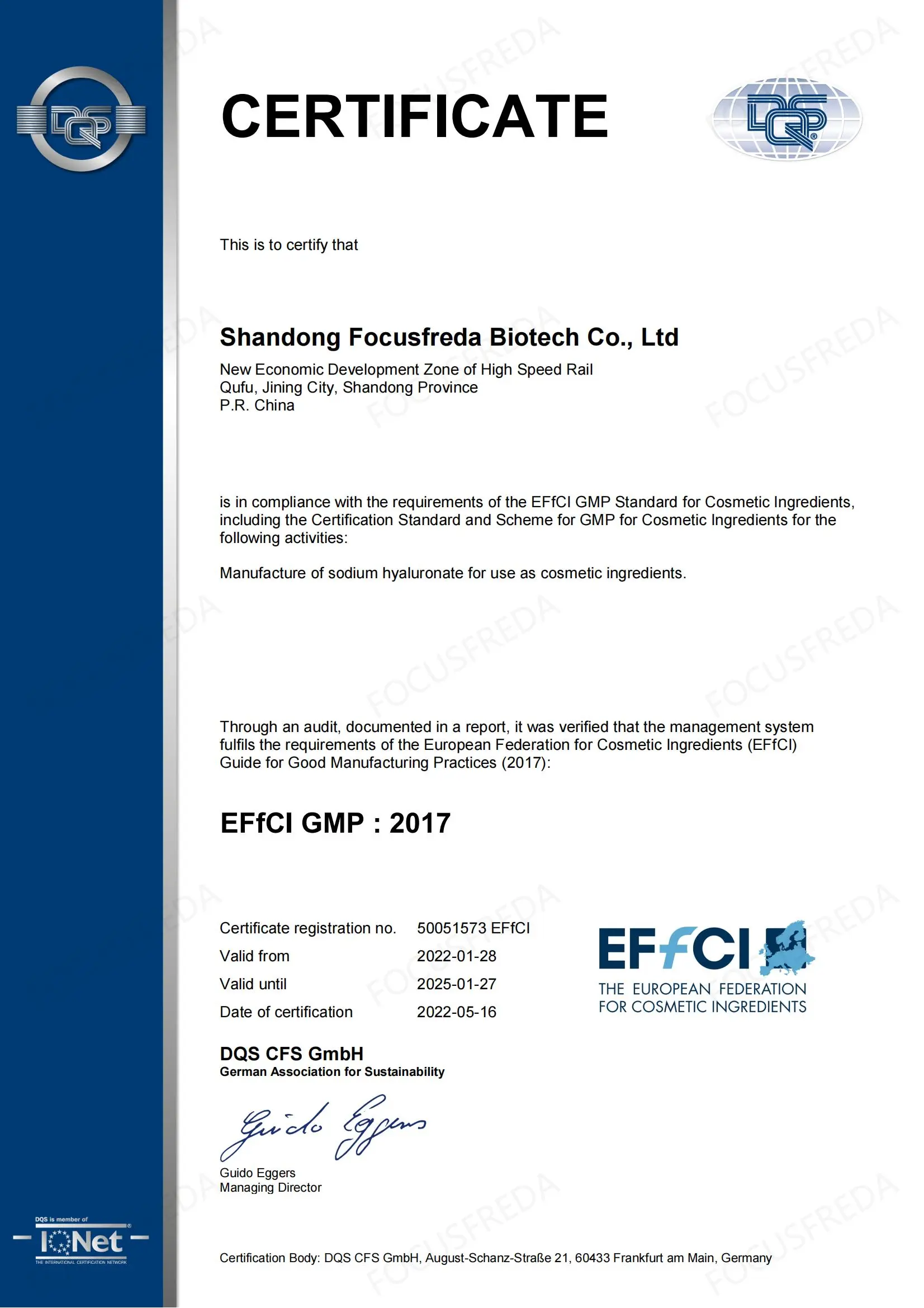 EFfCI GMP