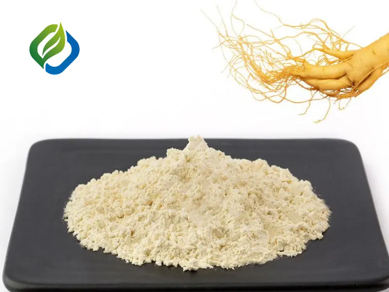 Panax Ginseng Extract