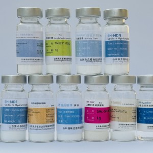 Sodium Hyaluronate Derivatives